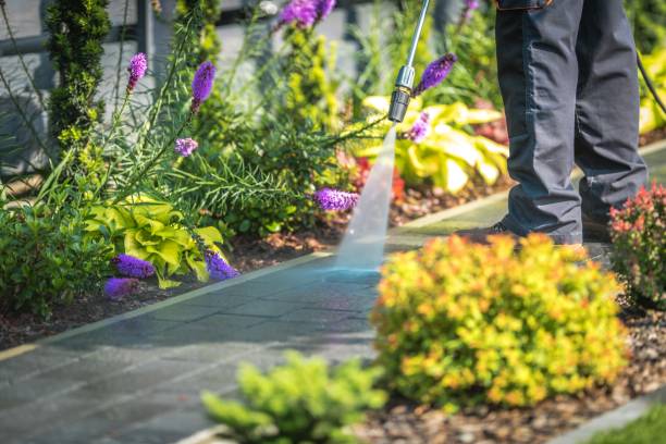 Best Gutter Cleaning  in Brighton, CO