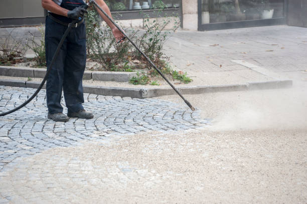 Best Animal Enclosure Cleaning  in Brighton, CO